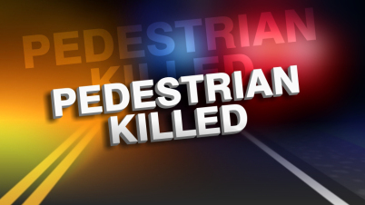 ocala news, pedestrian killed, accident