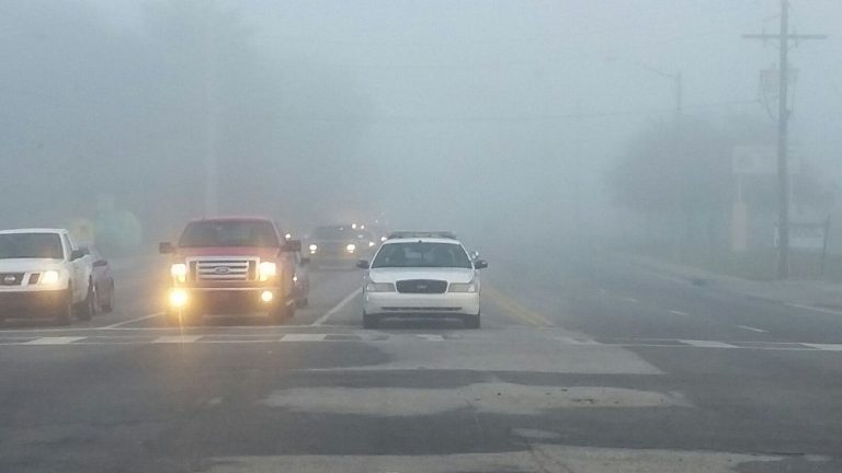 Fog: Drive with your headlights on; it’s the law