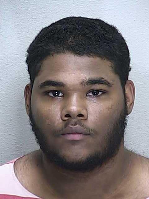 criminals, kids, ocala news, juveniles, marion oaks,