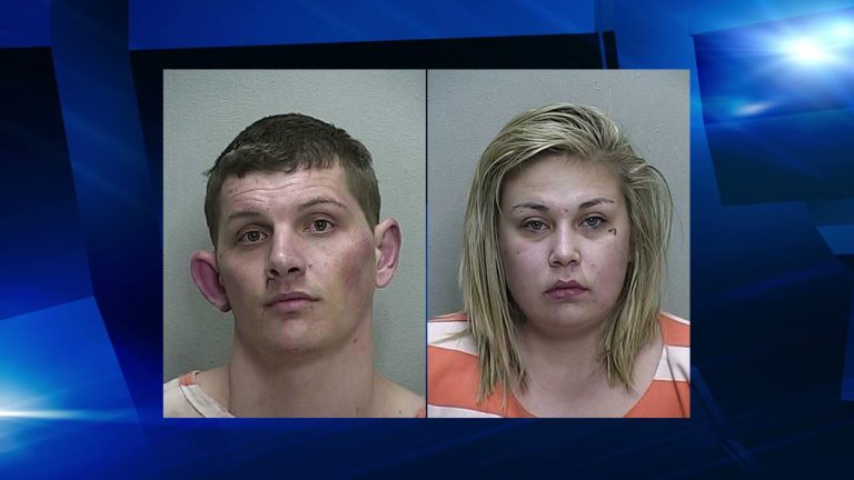 ocala news, battery on leo, summerfield, kangaroo