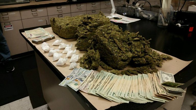 ocala news, drug bust, criminals