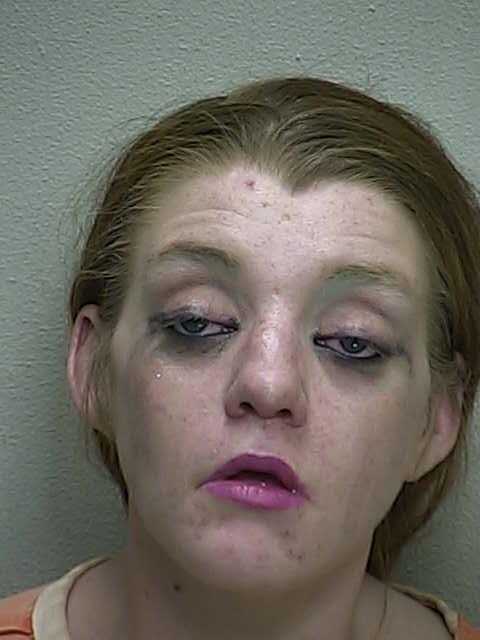 drug addict, amber dail, ocala news, dollar general,