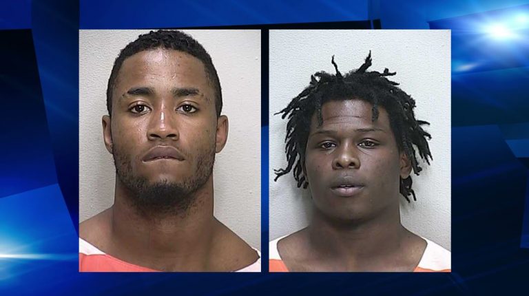 Two charged with multiple felonies in burglary spree