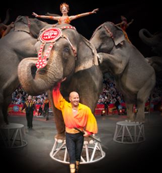 Ringling Bros. and Barnum & Bailey, elephants, circus,