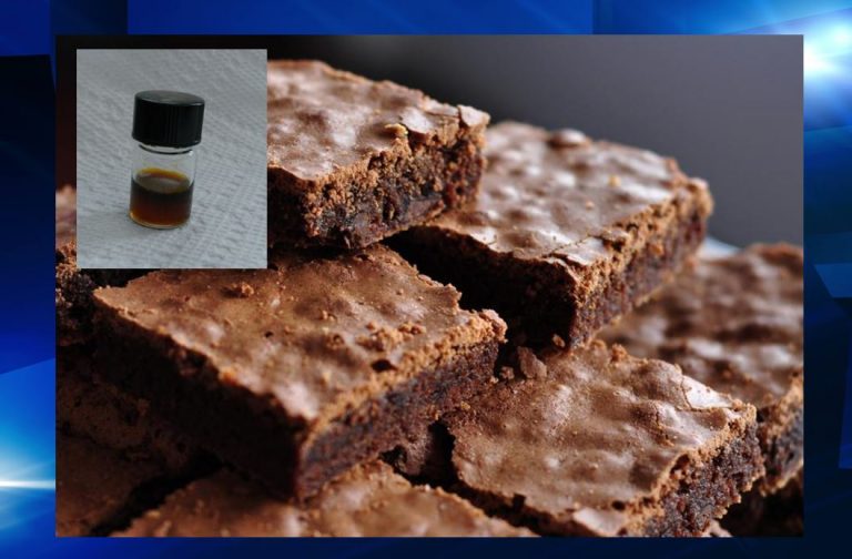 hash oil, brownies, school, daytona news, ocala news, port orange news,