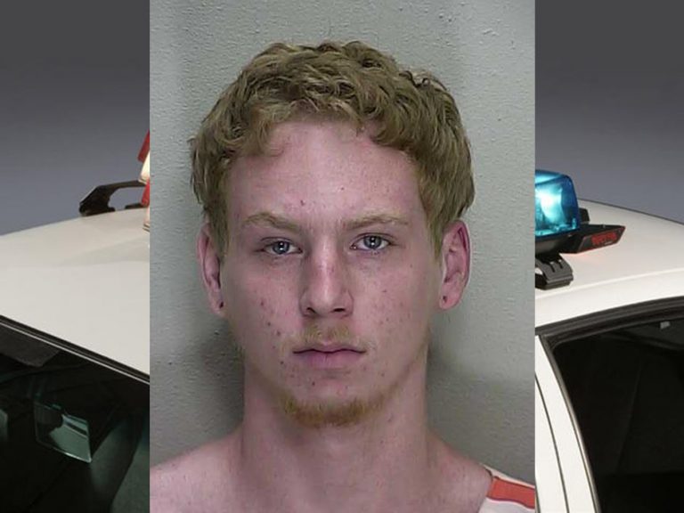 ocala news, burglary, fort mccoy, doggie door, marion county