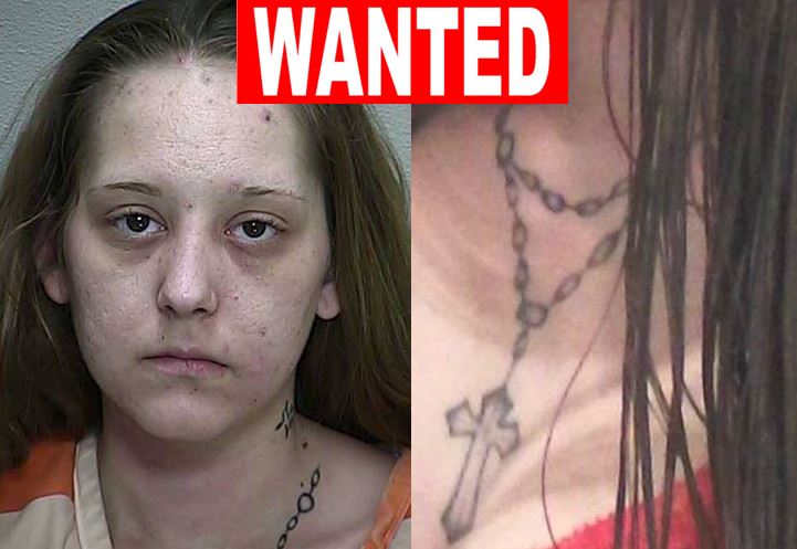 wanted, ocala news, marion county, melissa snyder, drugs, vop, FTA,