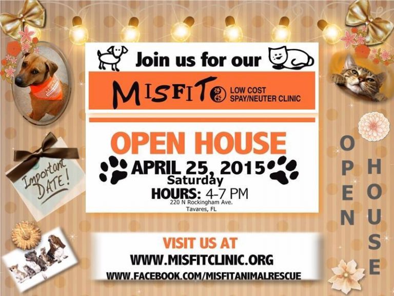 Open House: Low cost spay and neuter clinic