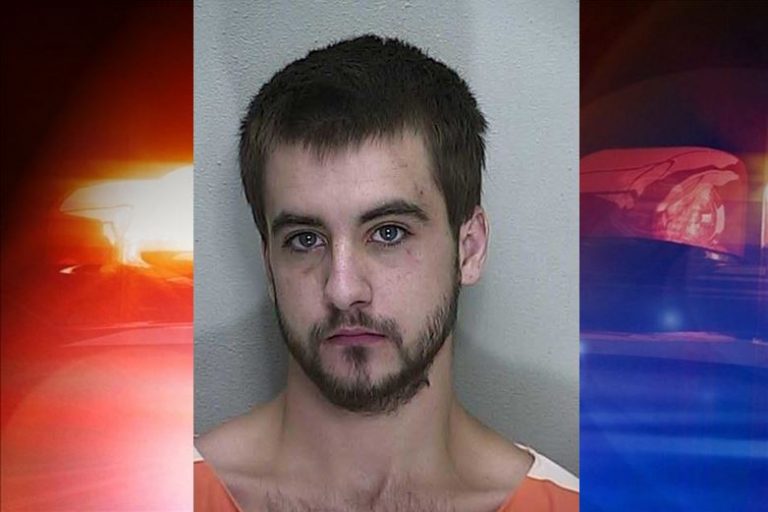ocala news, child abuse, marion county news, domestic violence