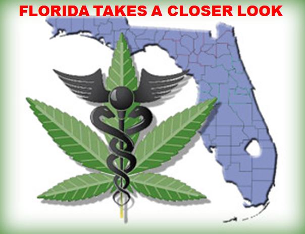 marijuana, florida, ocala news, marion county news, gainesville news,