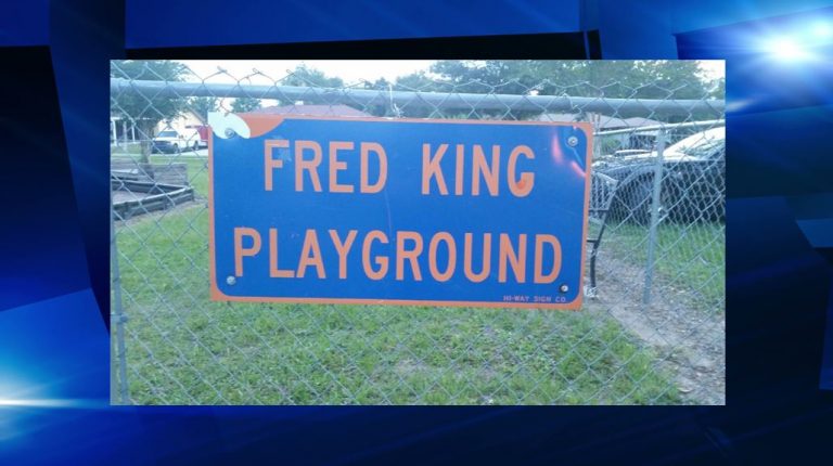 Warning to parents: local playground infested with ants