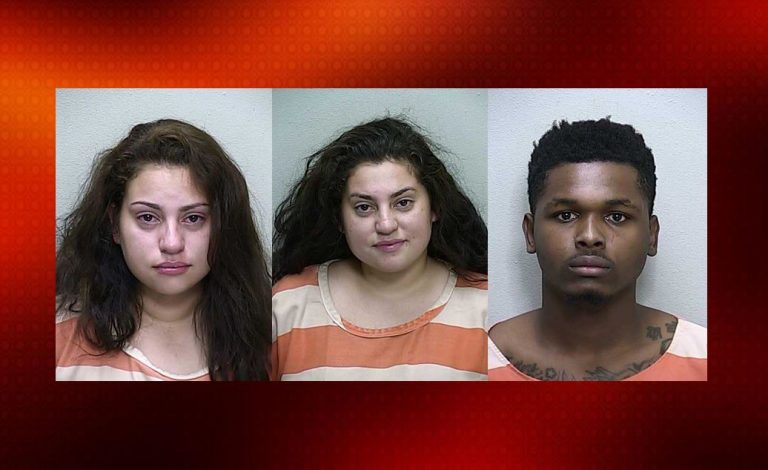ocala news, marion county news, domestic violence, florida