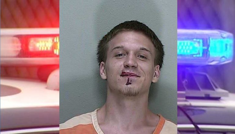 ocala news, marion county news, domestic battery, belleview,