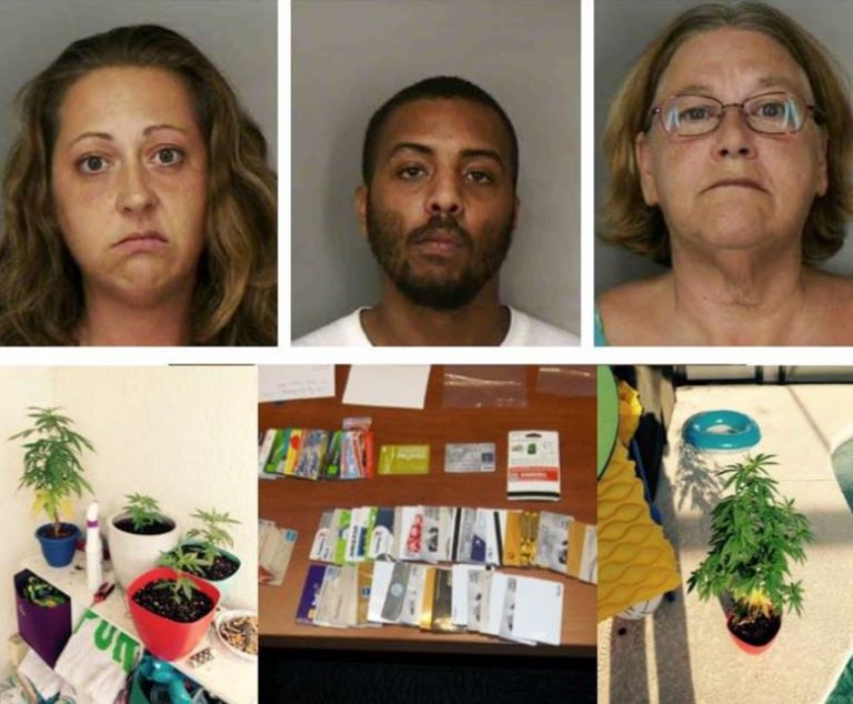 Family was using taxpayer money and committing credit card fraud while smoking dope