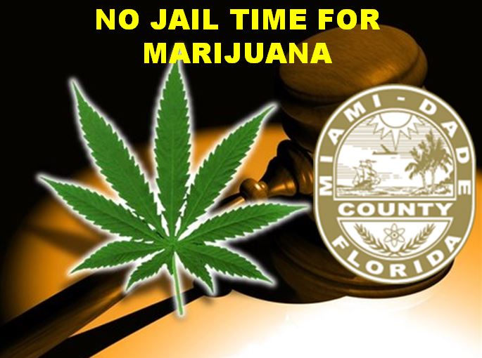 Florida county first to pass fine instead of jail time for marijuana