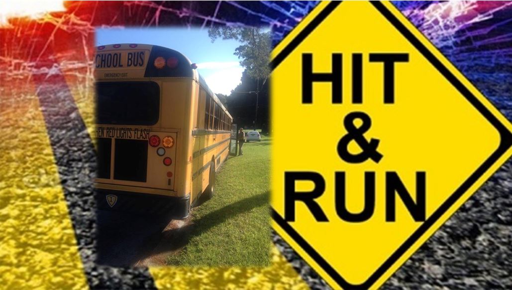 ocala news, marion county, hit and run, school bus, back to school