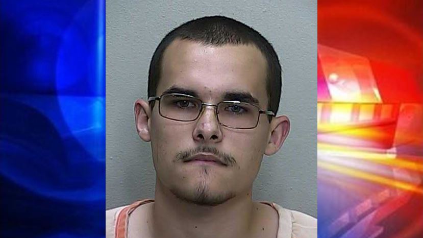 ocala news, marion county news, animal poisoning, antifreeze, ocala post, op
