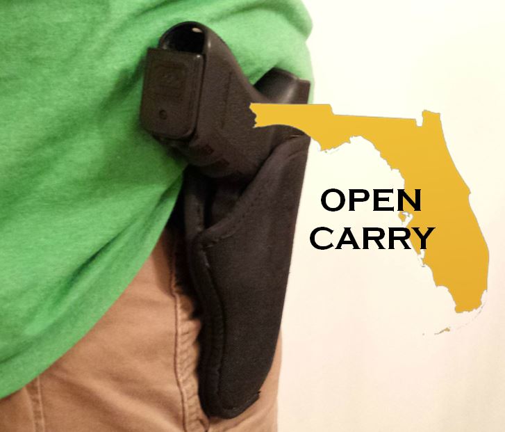 Open carry HB 163 passes first round in Florida