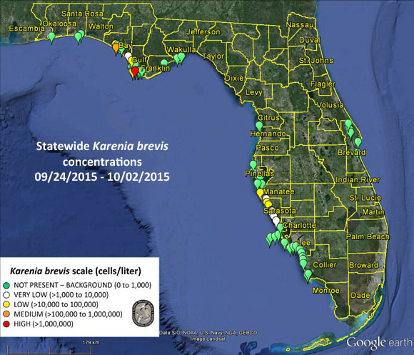 Red tide alert for 10-2-2015