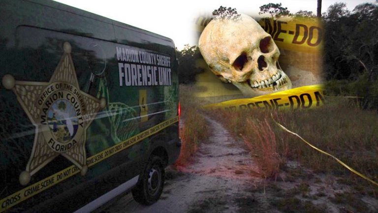 Skeletal remains found in Ocklawaha