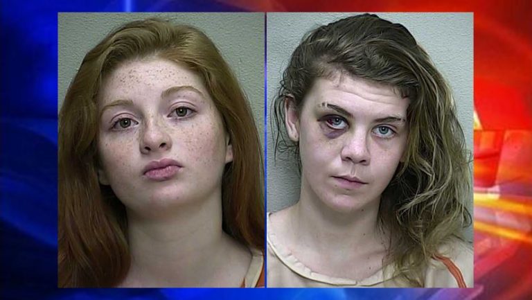 Two teens arrested for burglary, one suspect on the run