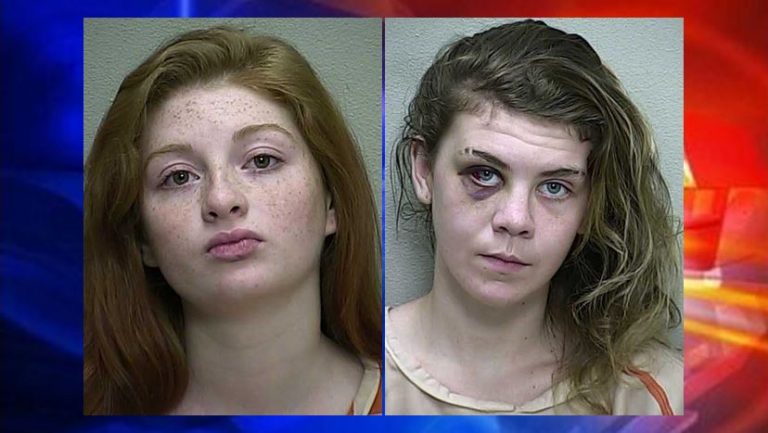 ocala news, marion county news, burglary, ocala post, grand theft