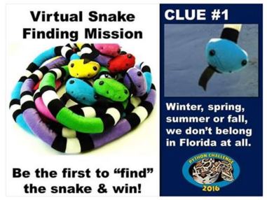 FWC releases “snakes” throughout Florida, part of 2016 Python Challenge