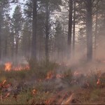Prescribed burn to blame for smokey conditions