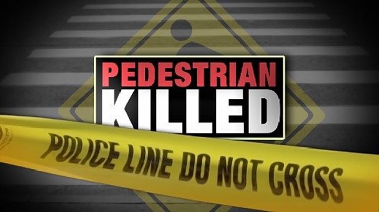 Woman and her dog die after being struck by car