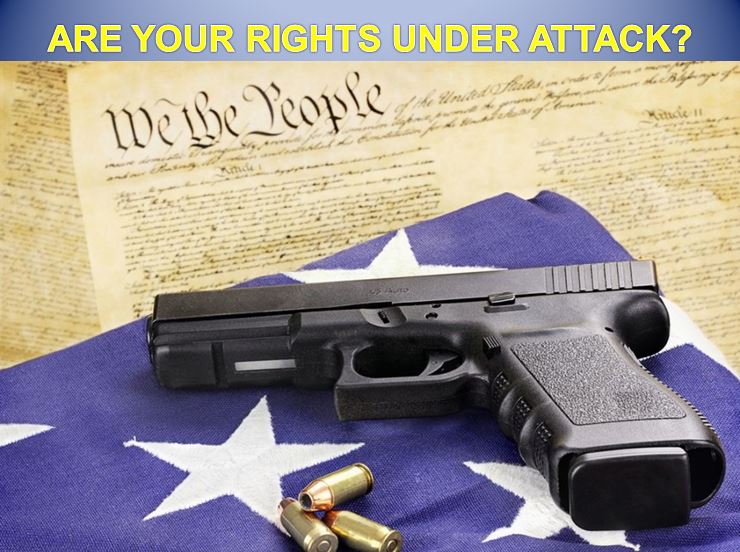 National Action Network takes aim at your right to keep and bear arms