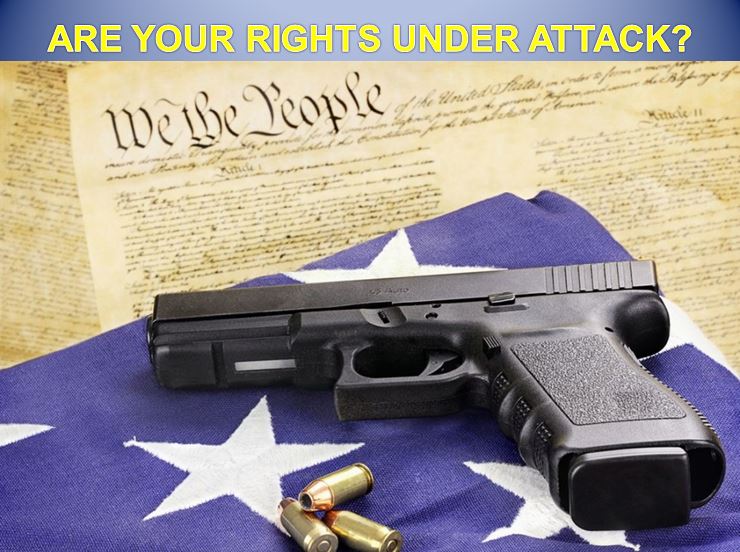 gin control, Florida, gun rights, second amendment, 2nd amendment. nra