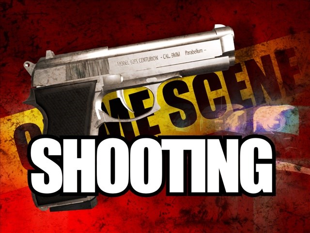 Resident shoots intruder who had defecated himself
