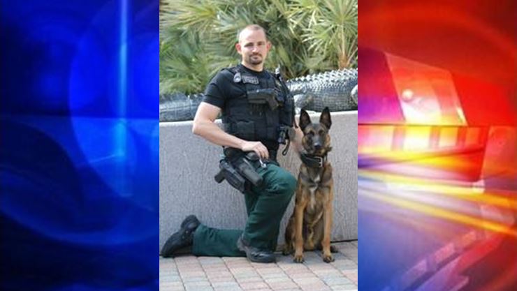 K-9 dies in car, deputy killed dog, dog left in car by cop, gainesville news, do not leave pets in cars