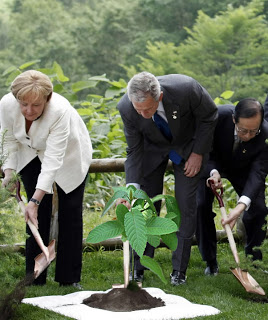 Former president Bush planting a Kratom tree, kratom, kratom tree.