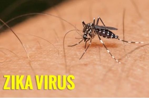 marion county zika, ocala news, ocala post, zika virus, zika