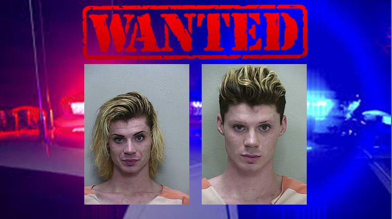 wanted, ocala news, ocala post, marion county news, drag queen, male escort