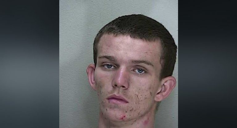 Teen stole truck, passed out