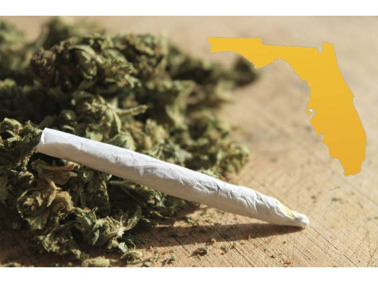 Bills would decriminalize marijuana in Florida