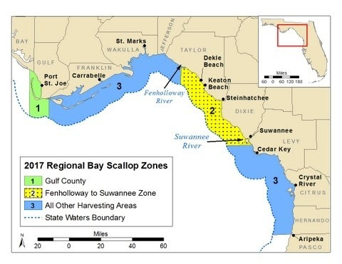 FWC: Gulf County bay scallop season postponed