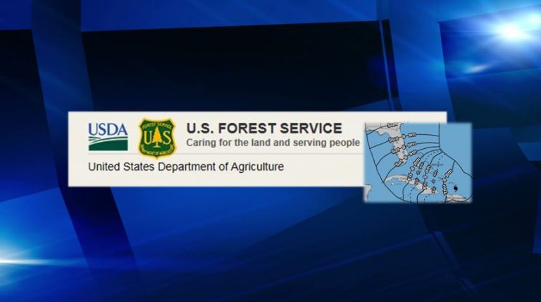 Hurricane Irma closes Ocala National Forest