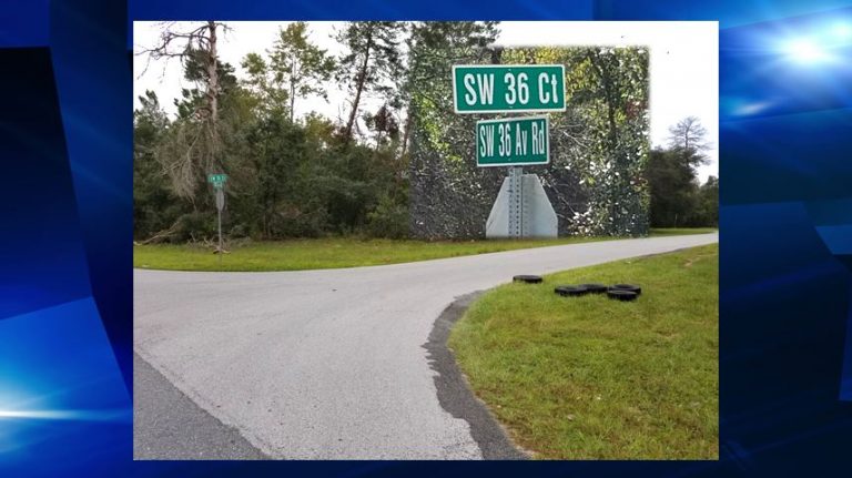 Officials looking for litterbug, dumped tires