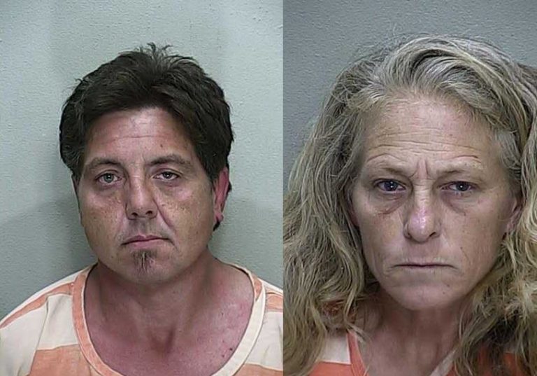 Two arrested after dispute over yard work