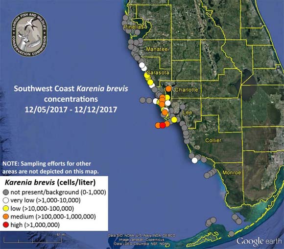 Red tide detected in Southwest Florida