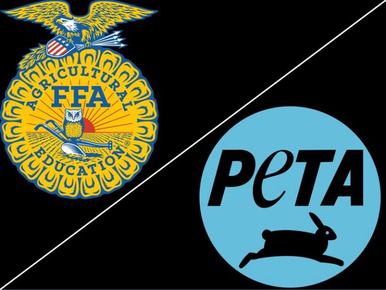 PETA demands all FFA programs be removed from schools after raccoon drowning