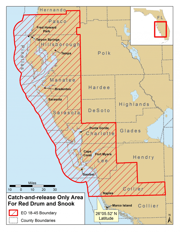 catch and release, red tide, fishing, ocala news, ocala post