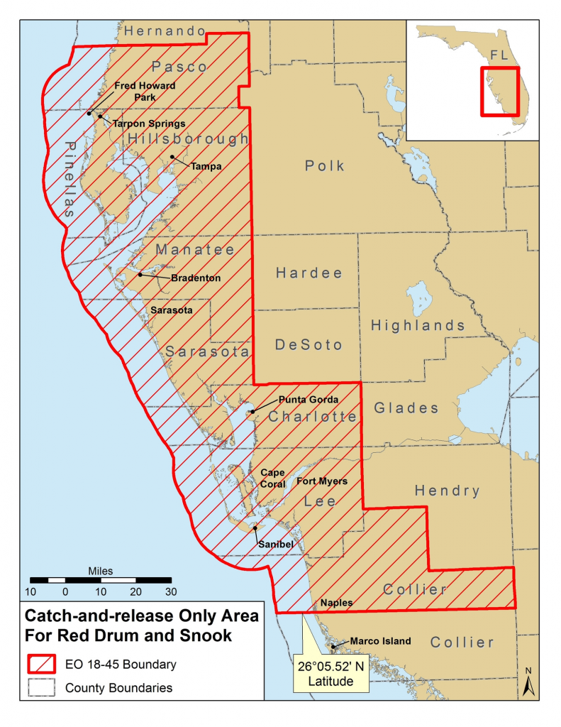 catch and release, red tide, fishing, ocala news, ocala post