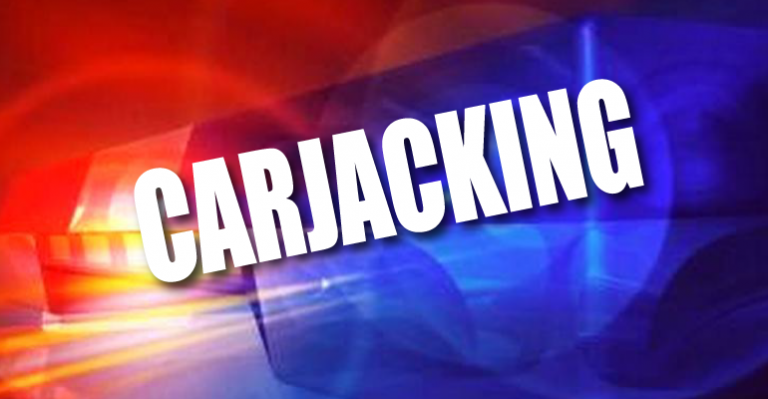 Teen carjacked in her driveway