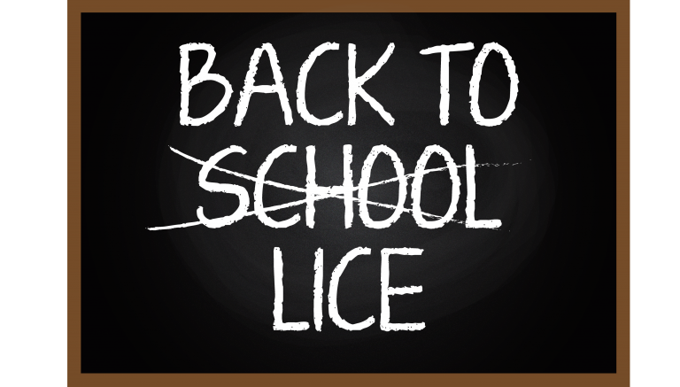 lice, marion county school, lice in school, ocala post, ocala news