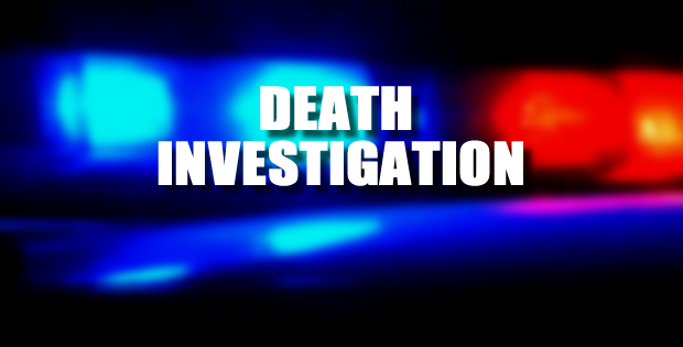 Body found in woods, homicide investigation underway
