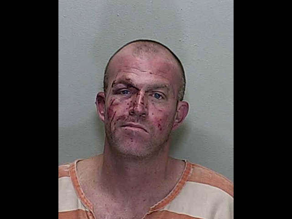 ocala news, ocala post, domestic battery